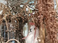 -野草莓自由市场