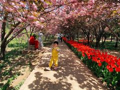 -石家庄市植物园
