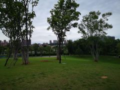 -盘龙城国家考古遗址公园