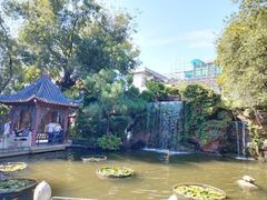 -碧江金楼