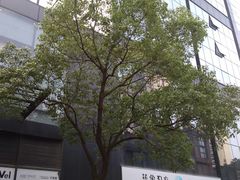 -海上海弘基休闲广场