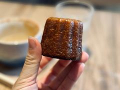 可露丽-溯洄咖啡VORTEX COFFEE
