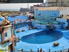 -海合安青岛极地海洋公园