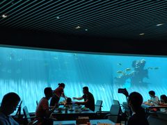 -海棠湾洲际-涛·海底餐厅·美人鱼·自助餐·海底隧道