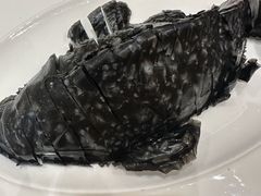 -添福来墨鱼饺子 · 海鲜东北菜(大连星海·黄浦路店)