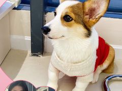 -怪兽屋·羊驼·猫咖·狗咖(俊华广场店)