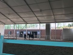 -大连凯洋马术俱乐部有限公司