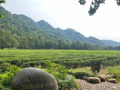 -中国茶叶博物馆(双峰馆区)