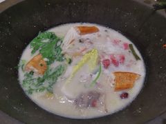 鲜潭蒸汽石锅江团鱼-鲜潭蒸汽石锅鱼(五道口购物中心店)
