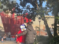 -中国福利会少年宫