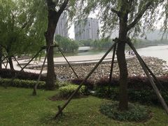-南翔镇银翔湖公园
