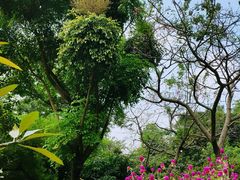 -云溪植物园