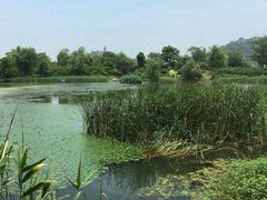 -山水间小院