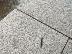 -黄花溪