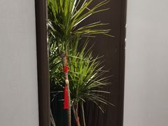 -东荟轩
