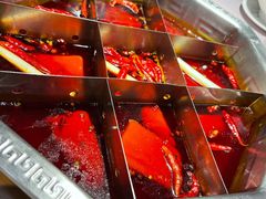 -蜀九香火锅(九眼桥店)