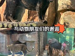 -沈阳森林动物园