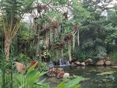 -昆明植物园