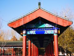 -莲花池公园