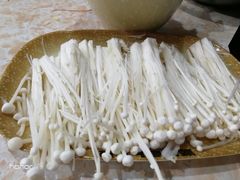 -顺德哥卜卜贝(旗舰店)