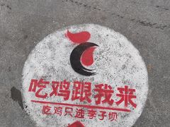 -李子坝梁山鸡(李子坝大鸡哥店)