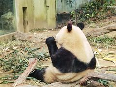 -广州长隆野生动物世界