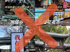 -成都大熊猫繁育研究基地
