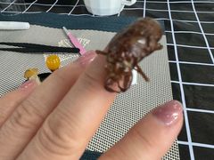 -利星行天竺之星汽车有限公司