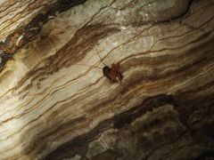 -棕南海水疗会所