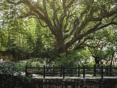 -古堰画乡景区
