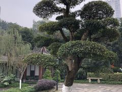 -龙头寺公园