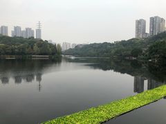 -重庆彩云湖湿地公园