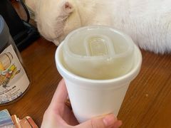-有猫主题·治愈系猫咖(曾厝垵店)