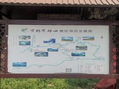 -紫鹊界梯田景区