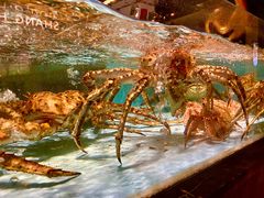 -尚海豆捞(乐虹坊店)