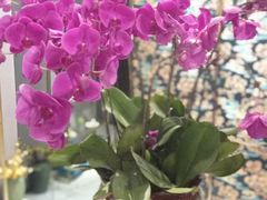 -璞·澐间影院式足道SPA(尚悦湾店)
