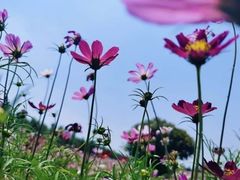 -白沙门生态公园