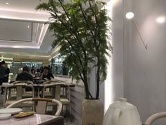 -喜鼎海胆水饺(平安金融中心店)
