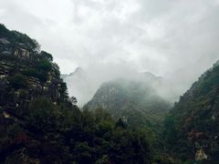 -王顺山国家森林公园