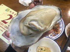-蚝得喜海鲜(东城店)