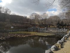 门面-高尔山公园