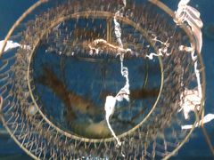 -SHRIMP CLUB万东餐饮钓虾·清吧