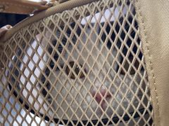 -瑞鹏瑞爱宠物医院·全科·猫科·血液透析中心(龙头寺店)