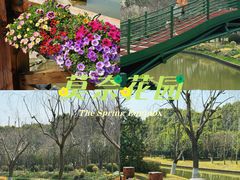 -上海鲜花港
