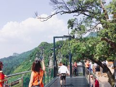 -梦幻奥陶纪景区