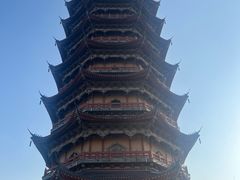 -葛仙湖公园