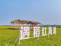 -红海滩国家风景廊道