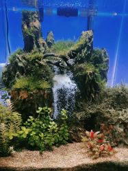 -Lumi露米·美甲美睫品质店