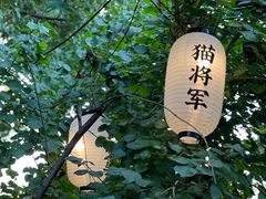 -白马涧龙池景区