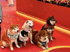 -新城市广场
